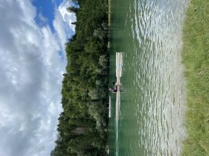 IMG_8956
