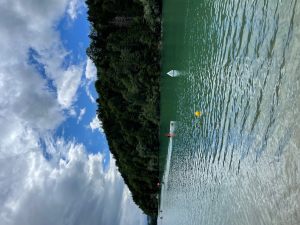 IMG_8993