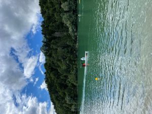 IMG_8994
