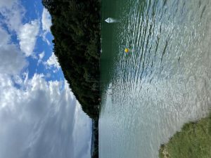 IMG_8998